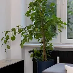 Lejlighed 10 Min Walk From Palace Of Culture & Science By Renters
