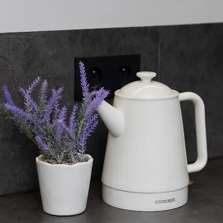 10 Min Walk From Palace Of Culture & Science By Renters شقة وارسو